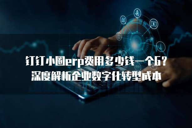 钉钉小圈erp费用多少钱一个G？深度解析企业数字化转型成本