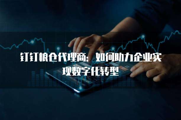 钉钉粮仓代理商：如何助力企业实现数字化转型