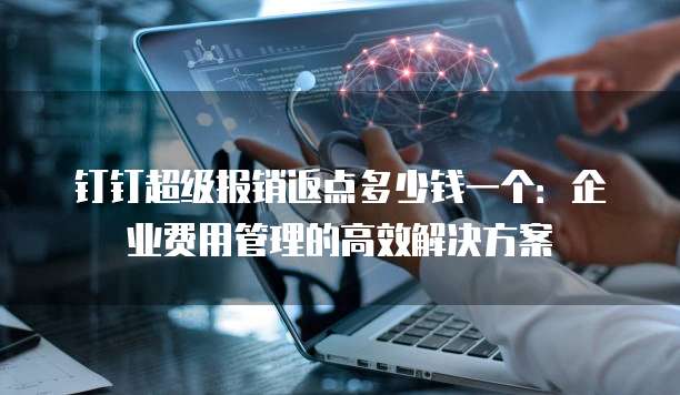 钉钉超级报销返点多少钱一个:企业费用管理的高效解决方案