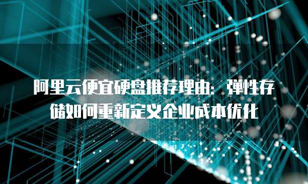 阿里云便宜硬盘推荐理由：弹性存储如何重新定义企业成本优化