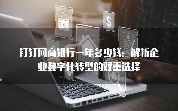 钉钉网商银行一年多少钱:解析企业数字化转型的双重选择