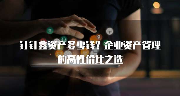 钉钉鑫资产多少钱?企业资产管理的高性价比之选