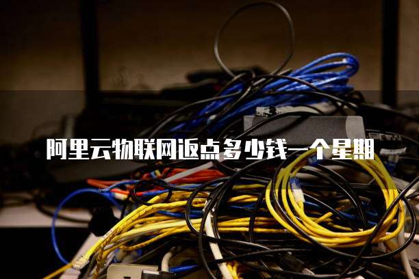 阿里云物联网返点多少钱一个星期