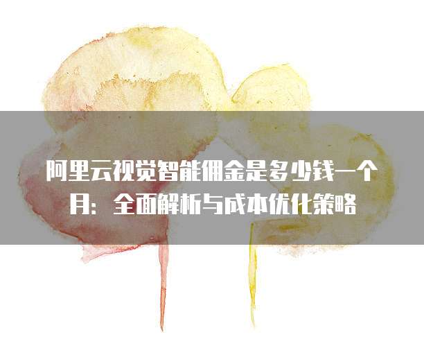 阿里云视觉智能佣金是多少钱一个月:全面解析与成本优化策略