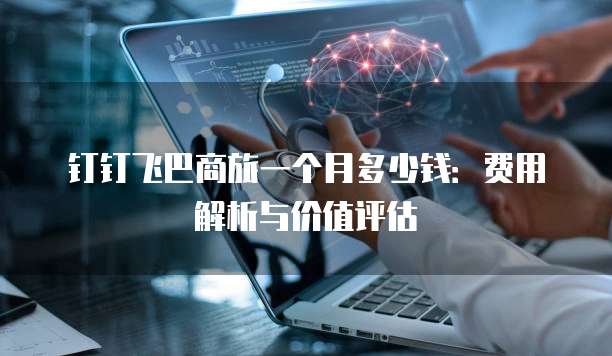 钉钉飞巴商旅一个月多少钱:费用解析与价值评估