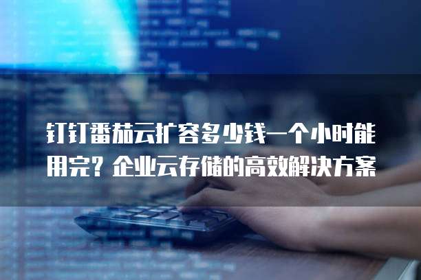 钉钉番茄云扩容多少钱一个小时能用完？企业云存储的高效解决方案