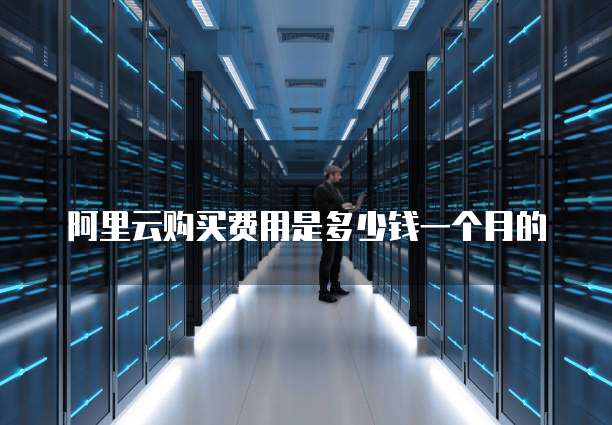 阿里云购买费用是多少钱一个月的