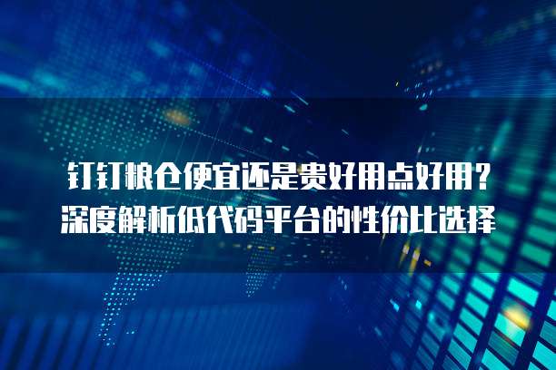 钉钉粮仓便宜还是贵好用点好用?深度解析低代码平台的性价比选择