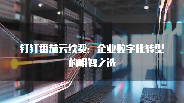 钉钉番茄云续费：企业数字化转型的明智之选