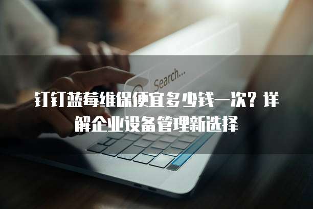 钉钉蓝莓维保便宜多少钱一次?详解企业设备管理新选择
