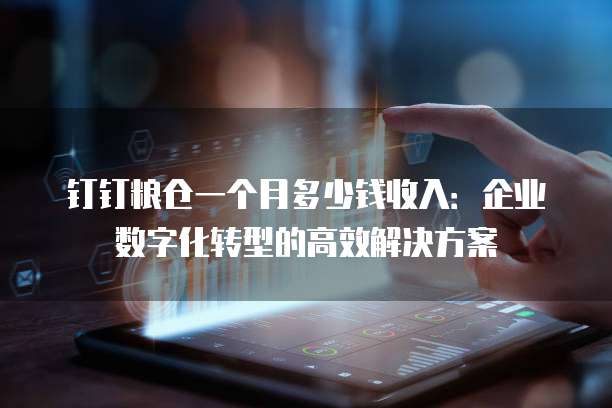 钉钉粮仓一个月多少钱收入:企业数字化转型的高效解决方案