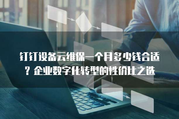 钉钉设备云维保一个月多少钱合适?企业数字化转型的性价比之选