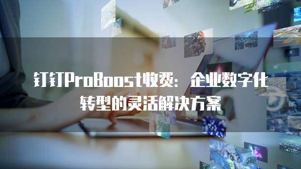 钉钉ProBoost收费:企业数字化转型的灵活解决方案