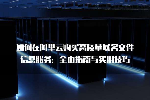 如何在阿里云购买高质量域名文件信息服务:全面指南与实用技巧