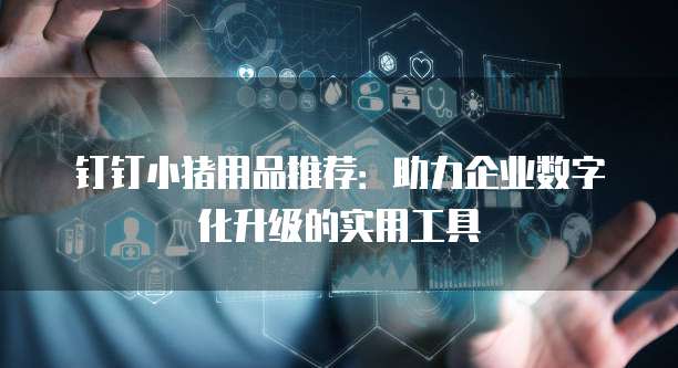 钉钉小猪用品推荐:助力企业数字化升级的实用工具