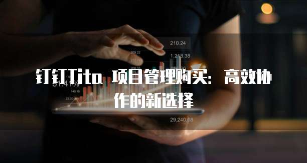 钉钉Tita 项目管理购买：高效协作的新选择