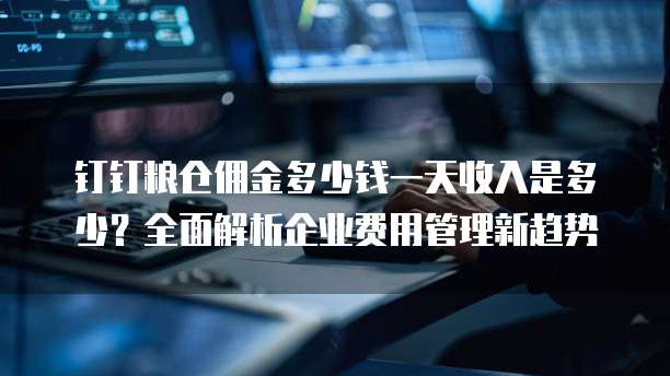 钉钉粮仓佣金多少钱一天收入是多少?全面解析企业费用管理新趋势
