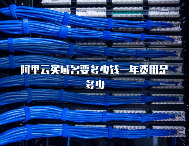 阿里云买域名要多少钱一年费用是多少