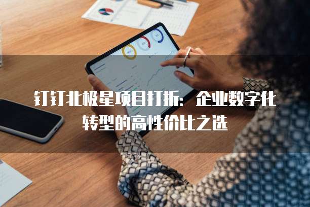 钉钉北极星项目打折:企业数字化转型的高性价比之选