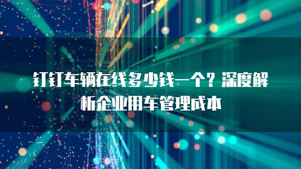 钉钉车辆在线多少钱一个?深度解析企业用车管理成本