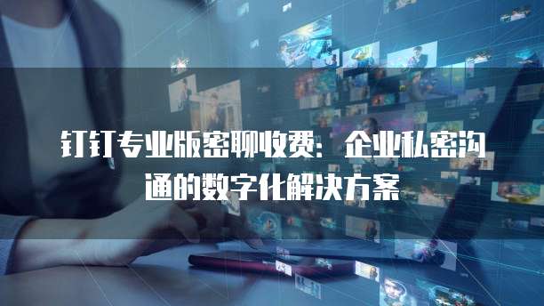 钉钉专业版密聊收费：企业私密沟通的数字化解决方案