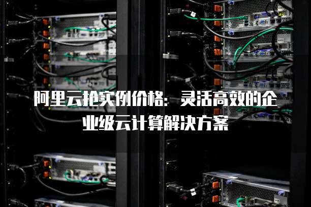 阿里云抢实例价格：灵活高效的企业级云计算解决方案