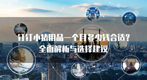 钉钉小猪用品一个月多少钱合适?全面解析与选择建议