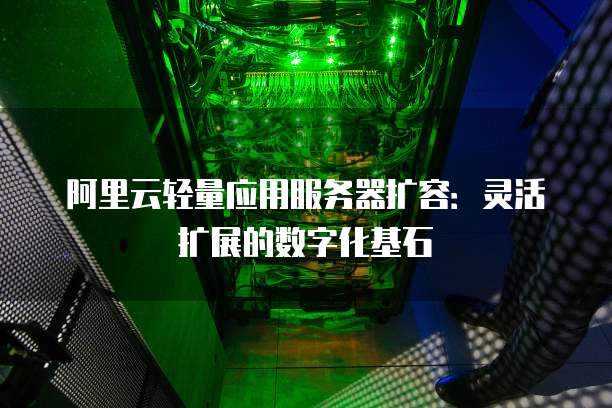 阿里云轻量应用服务器扩容:灵活扩展的数字化基石