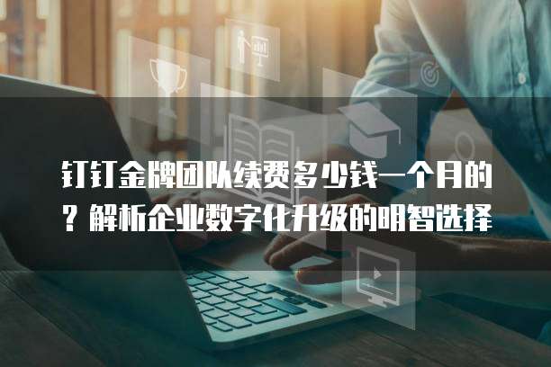 钉钉金牌团队续费多少钱一个月的?解析企业数字化升级的明智选择