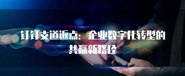 钉钉支道返点:企业数字化转型的共赢新路径