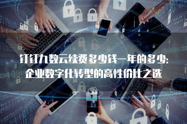 钉钉九数云续费多少钱一年的多少:企业数字化转型的高性价比之选