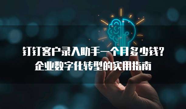 钉钉客户录入助手一个月多少钱?企业数字化转型的实用指南