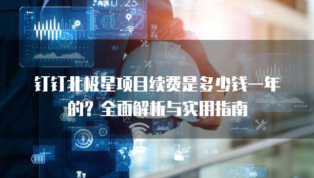 钉钉北极星项目续费是多少钱一年的?全面解析与实用指南