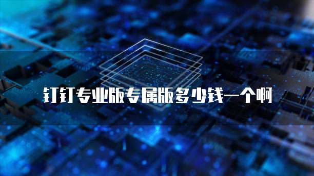 钉钉专业版专属版多少钱一个啊