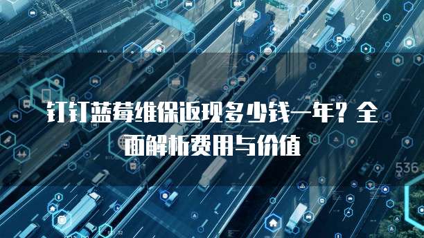 钉钉蓝莓维保返现多少钱一年?全面解析费用与价值
