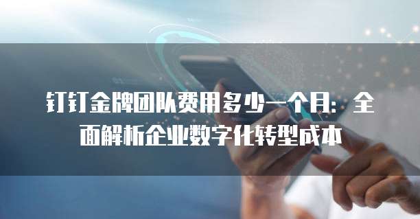 钉钉金牌团队费用多少一个月:全面解析企业数字化转型成本