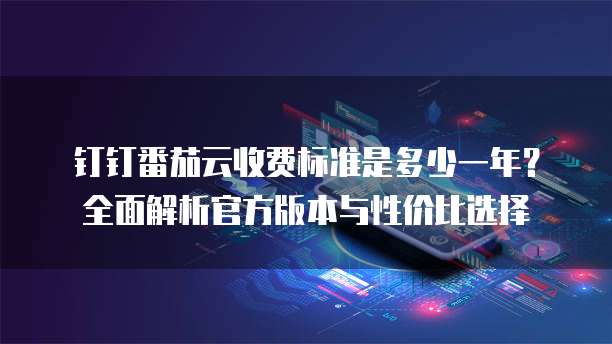钉钉番茄云收费标准是多少一年?全面解析官方版本与性价比选择