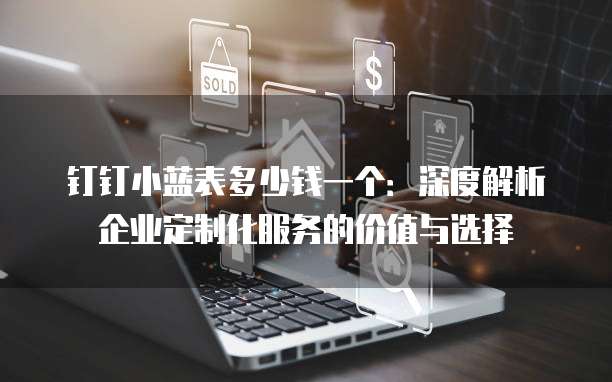 钉钉小蓝表多少钱一个:深度解析企业定制化服务的价值与选择