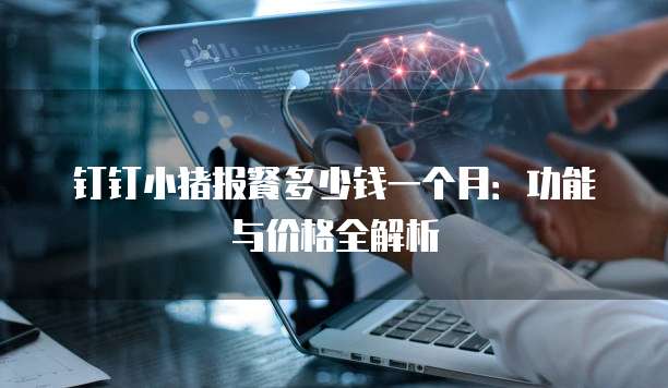 钉钉小猪报餐多少钱一个月:功能与价格全解析