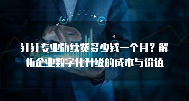 钉钉专业版续费多少钱一个月?解析企业数字化升级的成本与价值