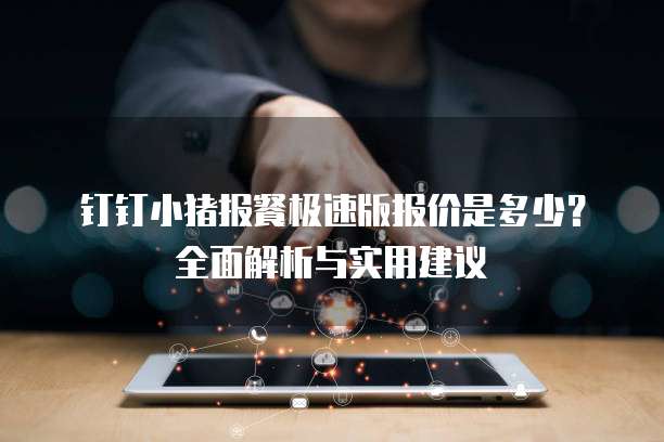 钉钉小猪报餐极速版报价是多少?全面解析与实用建议