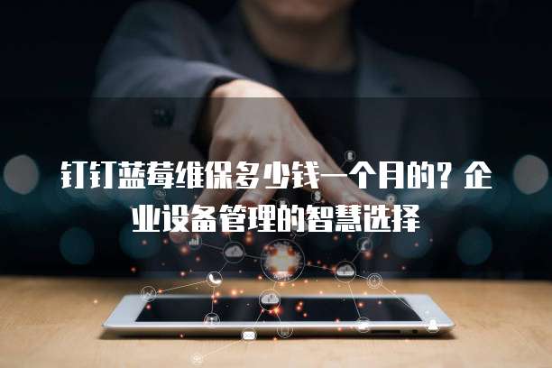 钉钉蓝莓维保多少钱一个月的?企业设备管理的智慧选择