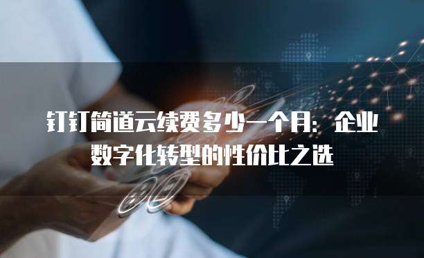 钉钉简道云续费多少一个月:企业数字化转型的性价比之选