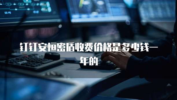 钉钉安恒密盾收费价格是多少钱一年的