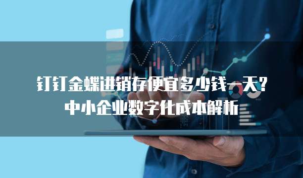 钉钉金蝶进销存便宜多少钱一天?中小企业数字化成本解析