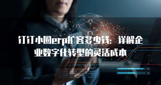 钉钉小圈erp扩容多少钱:详解企业数字化转型的灵活成本