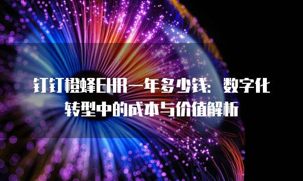钉钉橙蜂EHR一年多少钱：数字化转型中的成本与价值解析