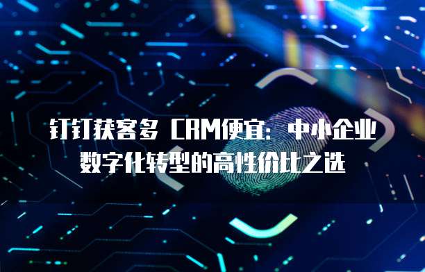 钉钉获客多 CRM便宜:中小企业数字化转型的高性价比之选