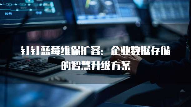 钉钉蓝莓维保扩容：企业数据存储的智慧升级方案