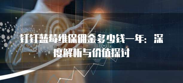 钉钉蓝莓维保佣金多少钱一年:深度解析与价值探讨